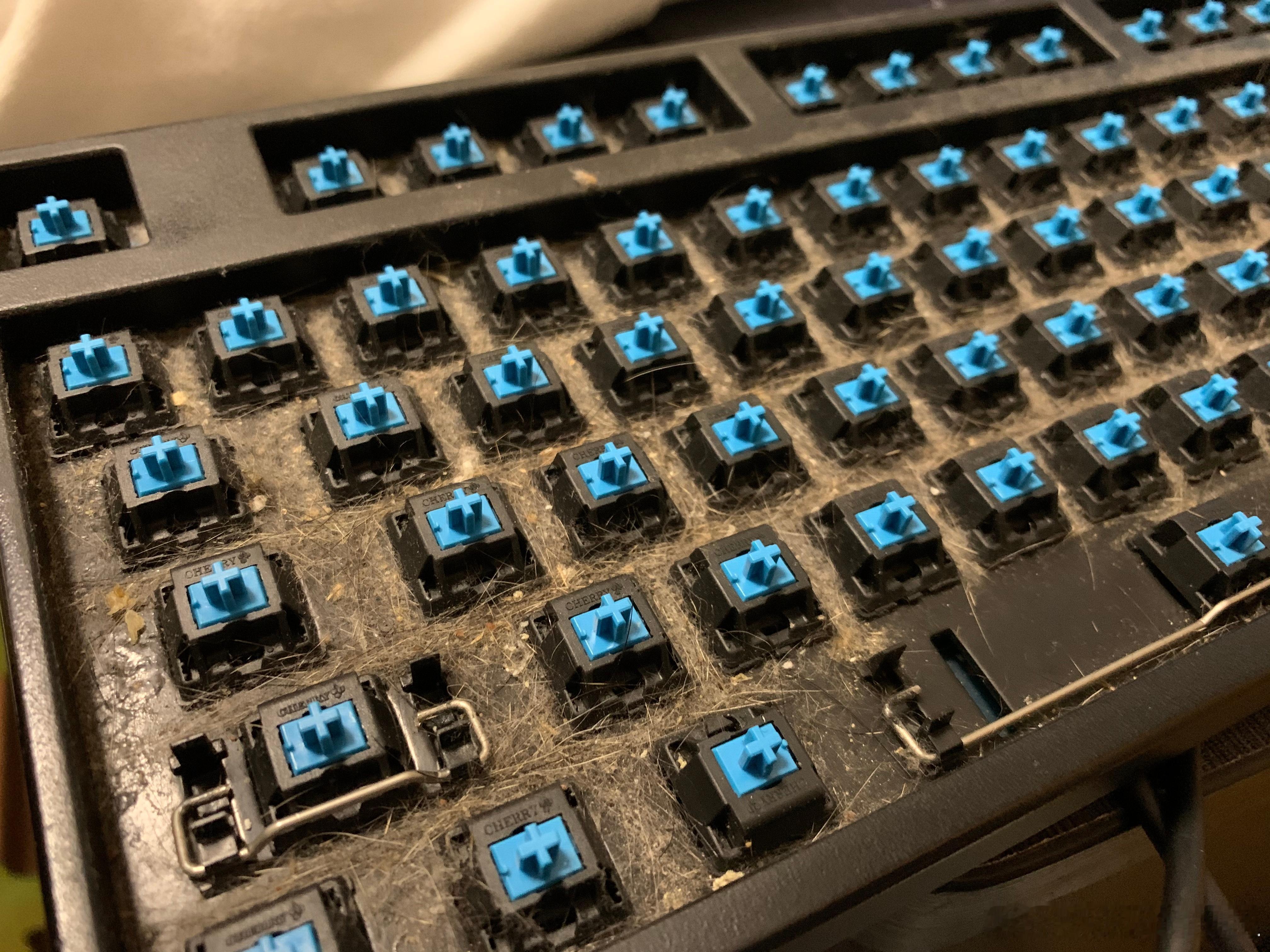 看到工作室很多小伙伴的键盘脏到不行，找出了之前帮朋友清洁键盘的案例，大家觉得这个