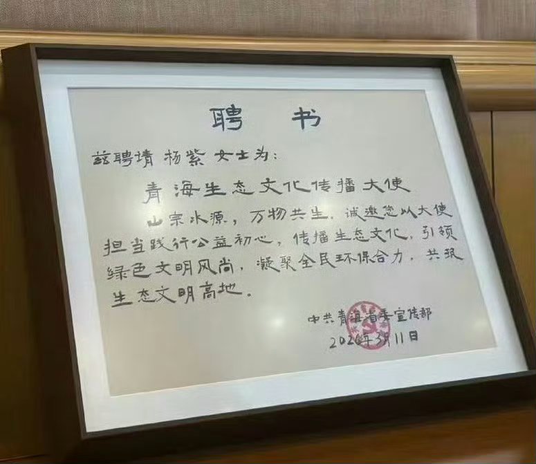 杨紫参加六五环境日以文艺化导人心