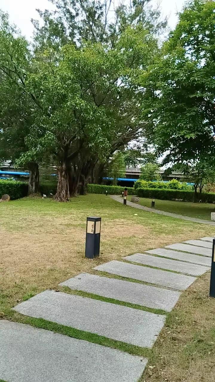 情绪音乐玩法新风向 玩法合伙人计划