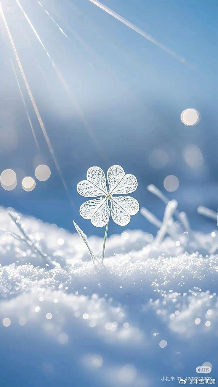 你的直觉能察觉到你意识层面无法感知的事情。学会相信它。 