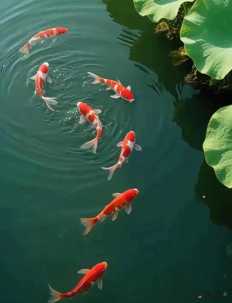 水，利万物而不争，处众人之所恶，故几于道。至柔至刚，能屈能伸，遇方则方，遇圆则圆