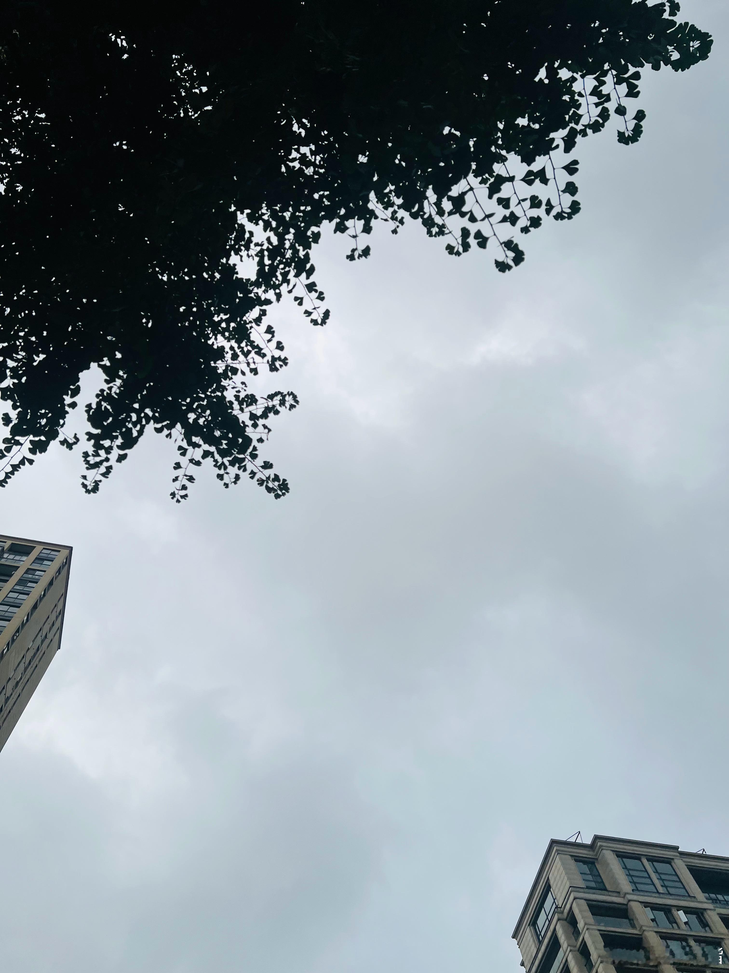 就这样下点雨挺好的，风不来没事的！中午到现在还是变化挺大的 