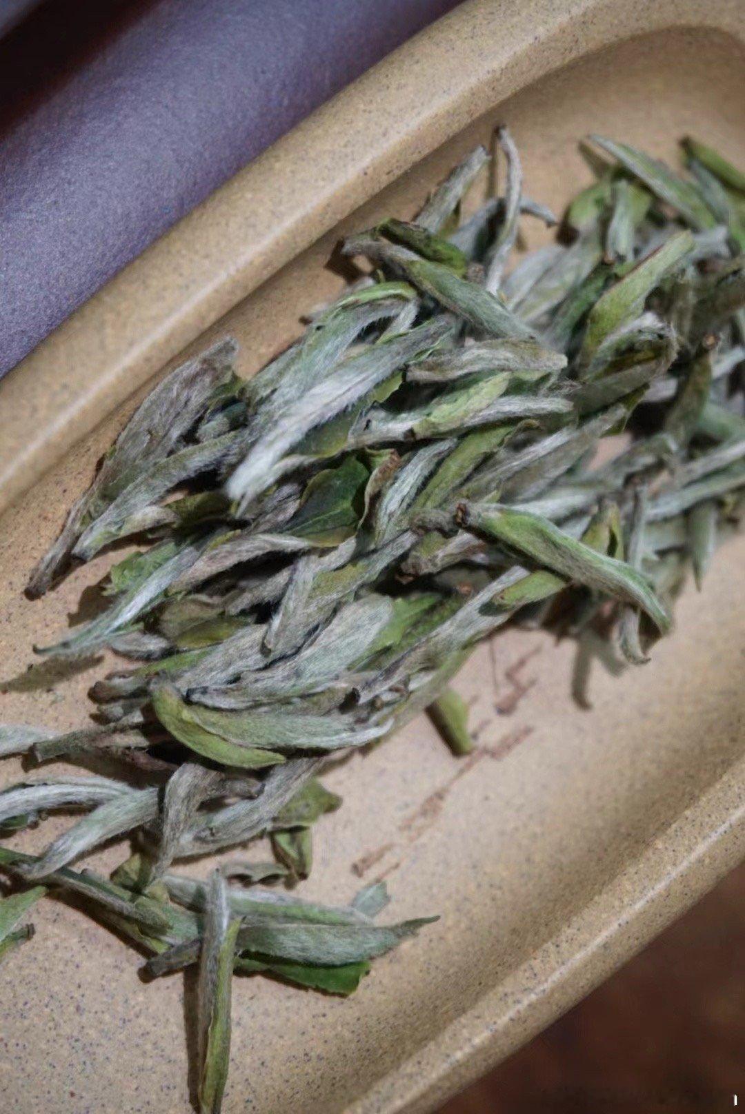 闷热的天气总让人焦躁白茶富有的茶氨酸，可以清热解暑、安神降噪。#闷热天气持续##