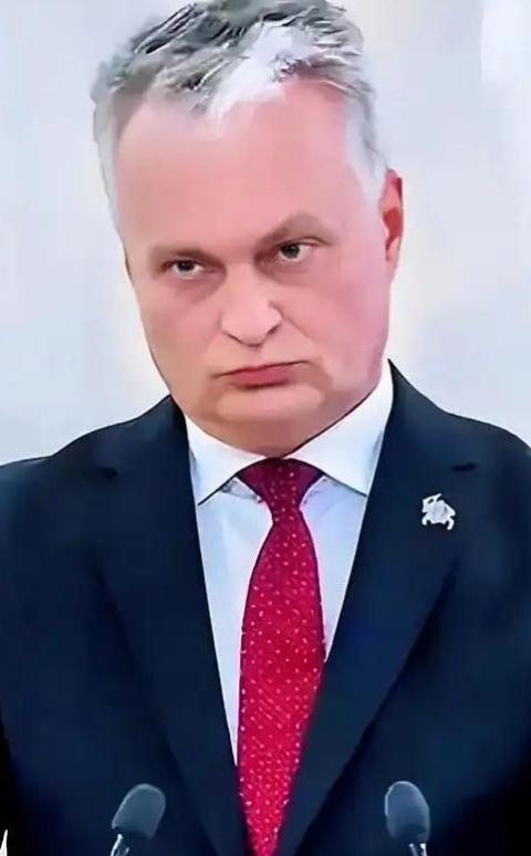 活久见！立陶宛总统瑙塞达为了推脱责任，2月12日他对着立陶宛国家广播电视台公开宣