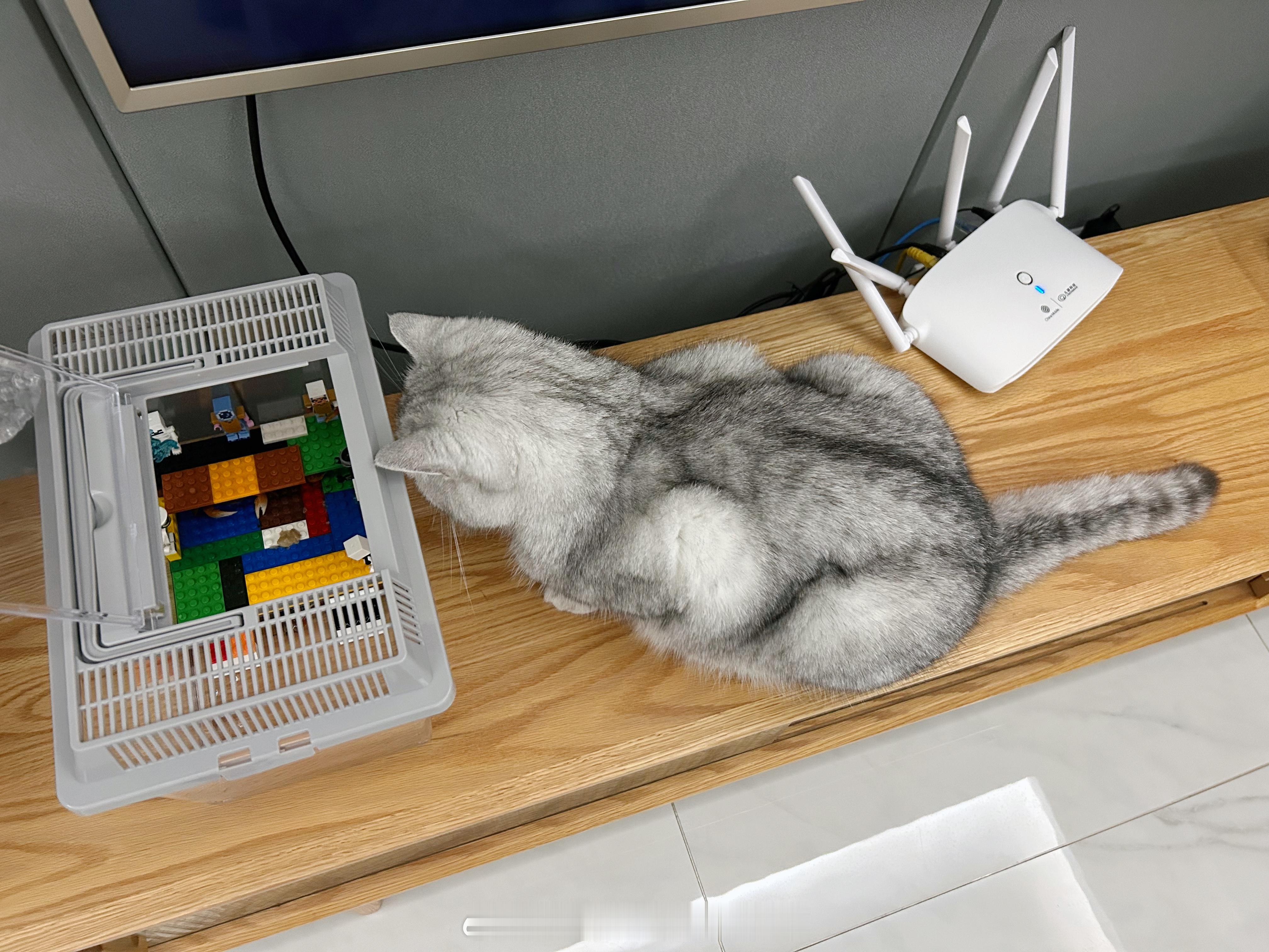 喝上螃蟹汤了[笑cry]#喵趣横生# ​​​