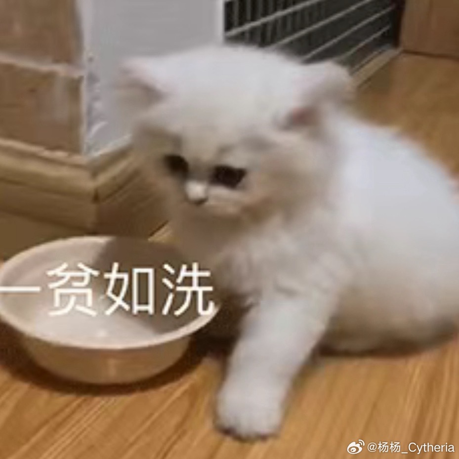 分享图片 ​​​