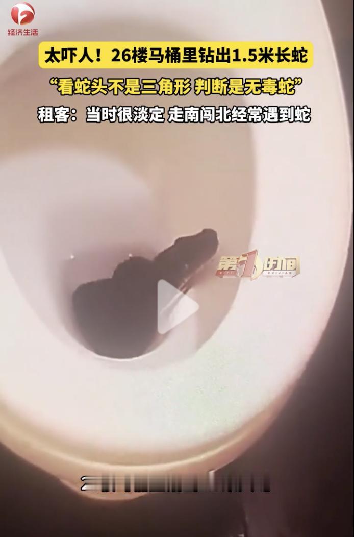 “最担心的事还是发生了！”6月7日，四川成都，张先生早晨起来上厕所，他刚打开马桶