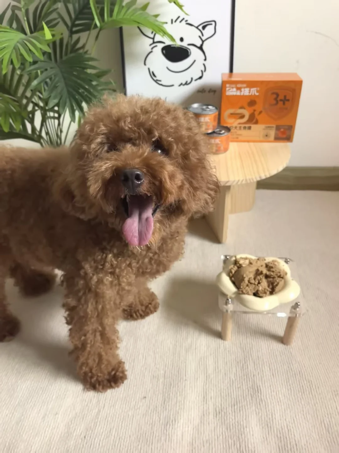 挑食狗遇它秒乖顺