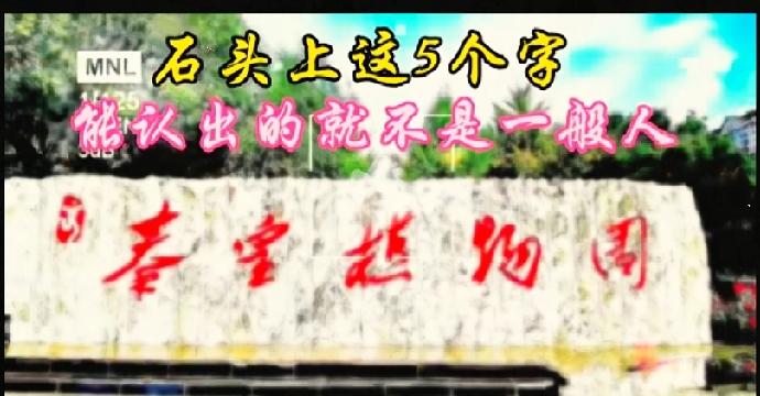敢来挑战一下吗？石头上面镌刻的文字，99％的普通人都辨认不出。

我反复端详好久
