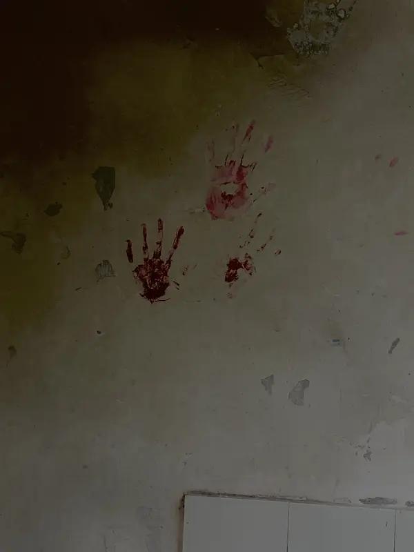 印度大一男生求婚遭拒将女生枪杀！教室变凶案现场，真相令人脊背发凉
 
太可怕了！