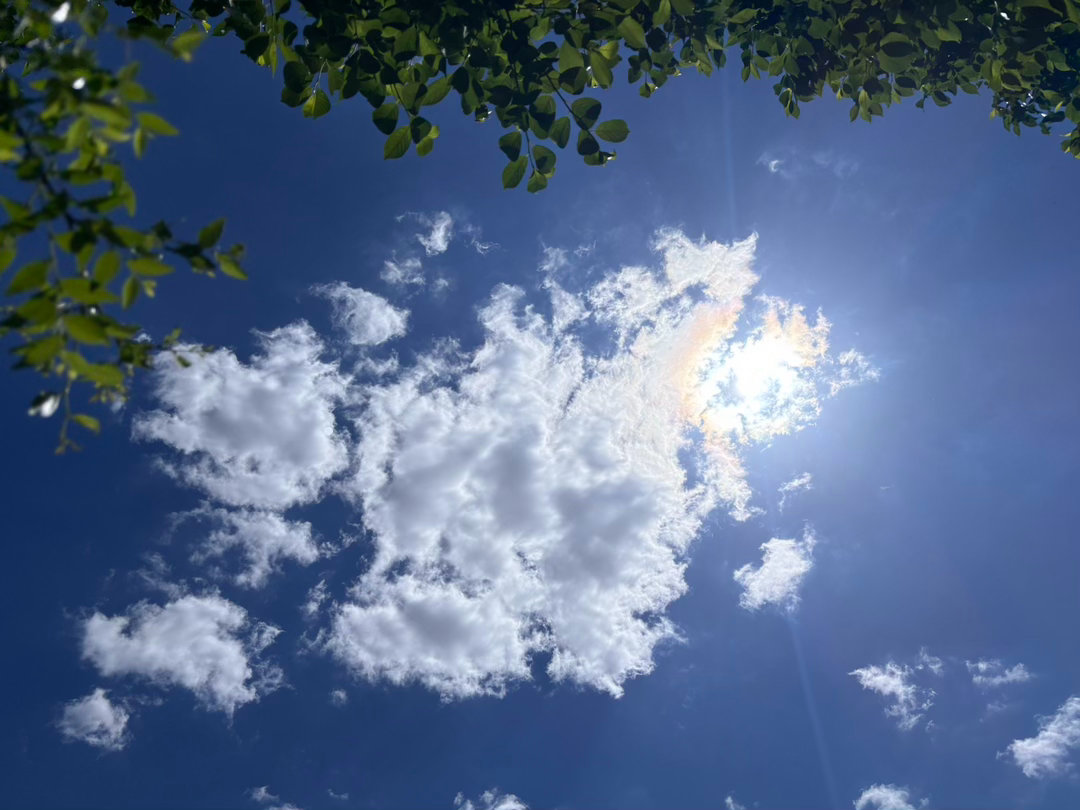 晚安。好累。嘴里的泡什么时候能好 
