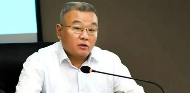 2026年6月16日，河南省南阳市市长路红卫在任上被查，其任职不足一年。此案凸显