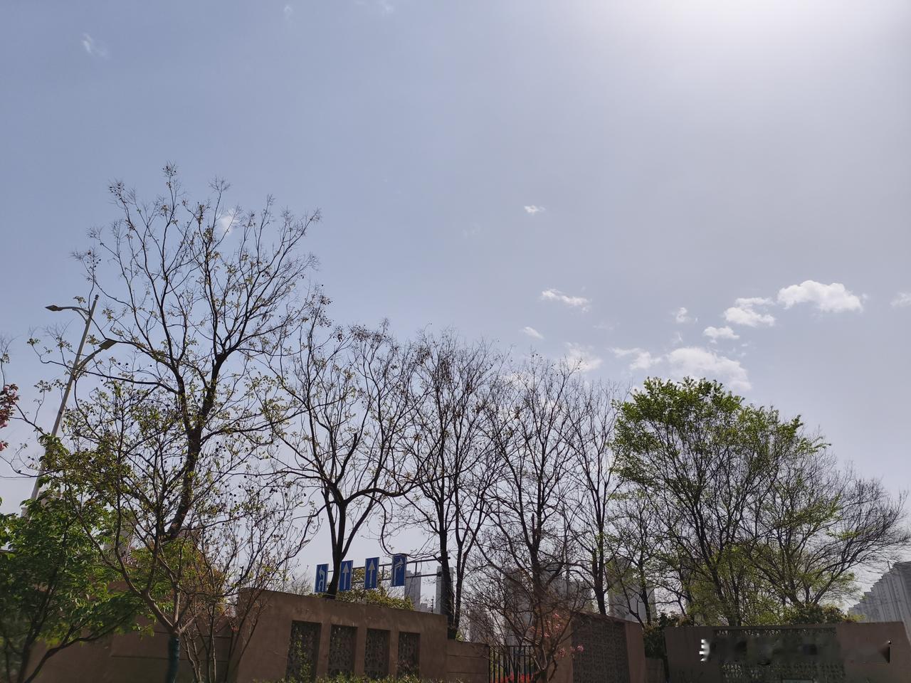 南京的清明很少是晴天
印象中南京往年的清明这天几乎都是下雨天，给人增添了祭祀亲人