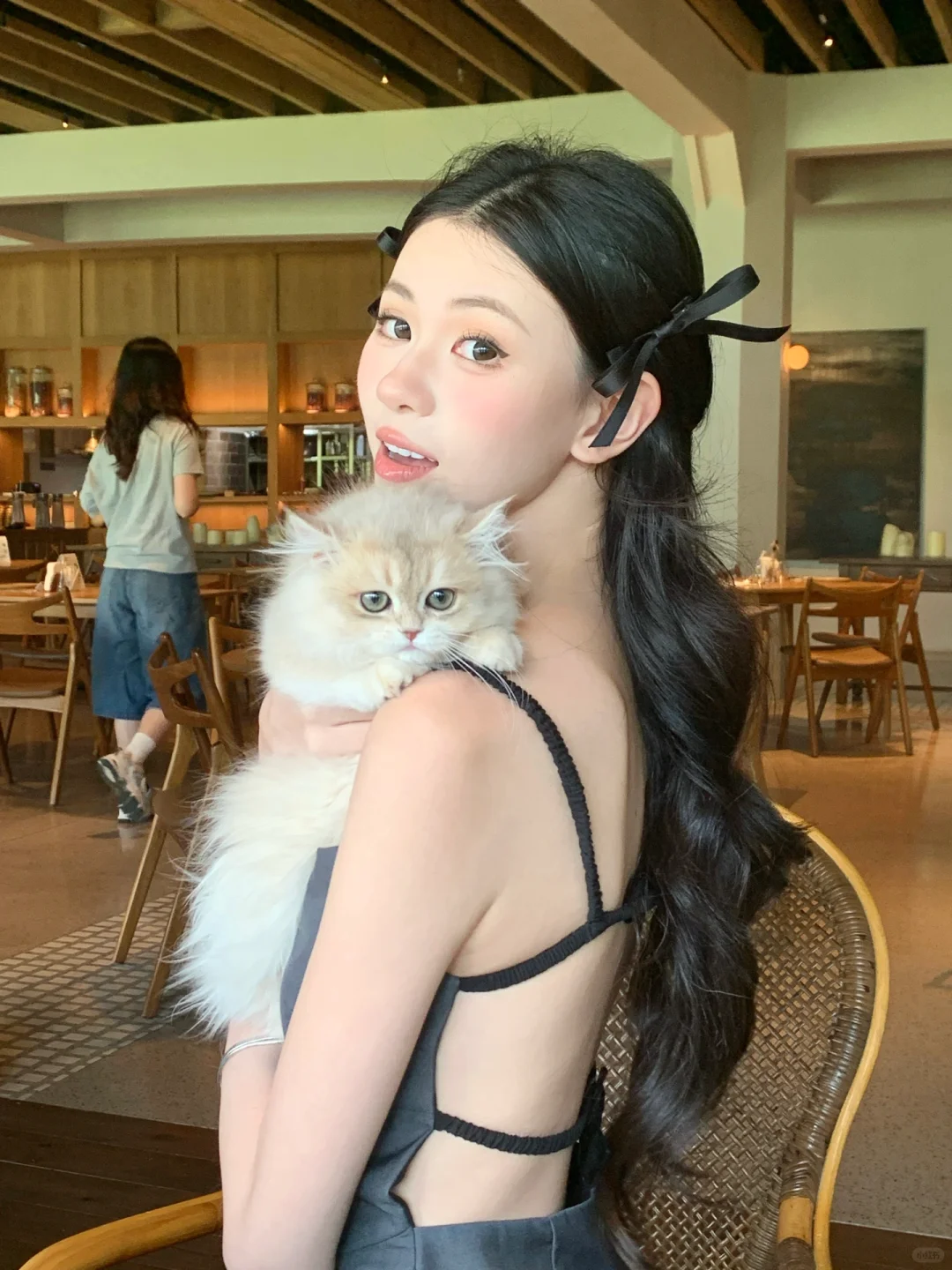 小猫咪.