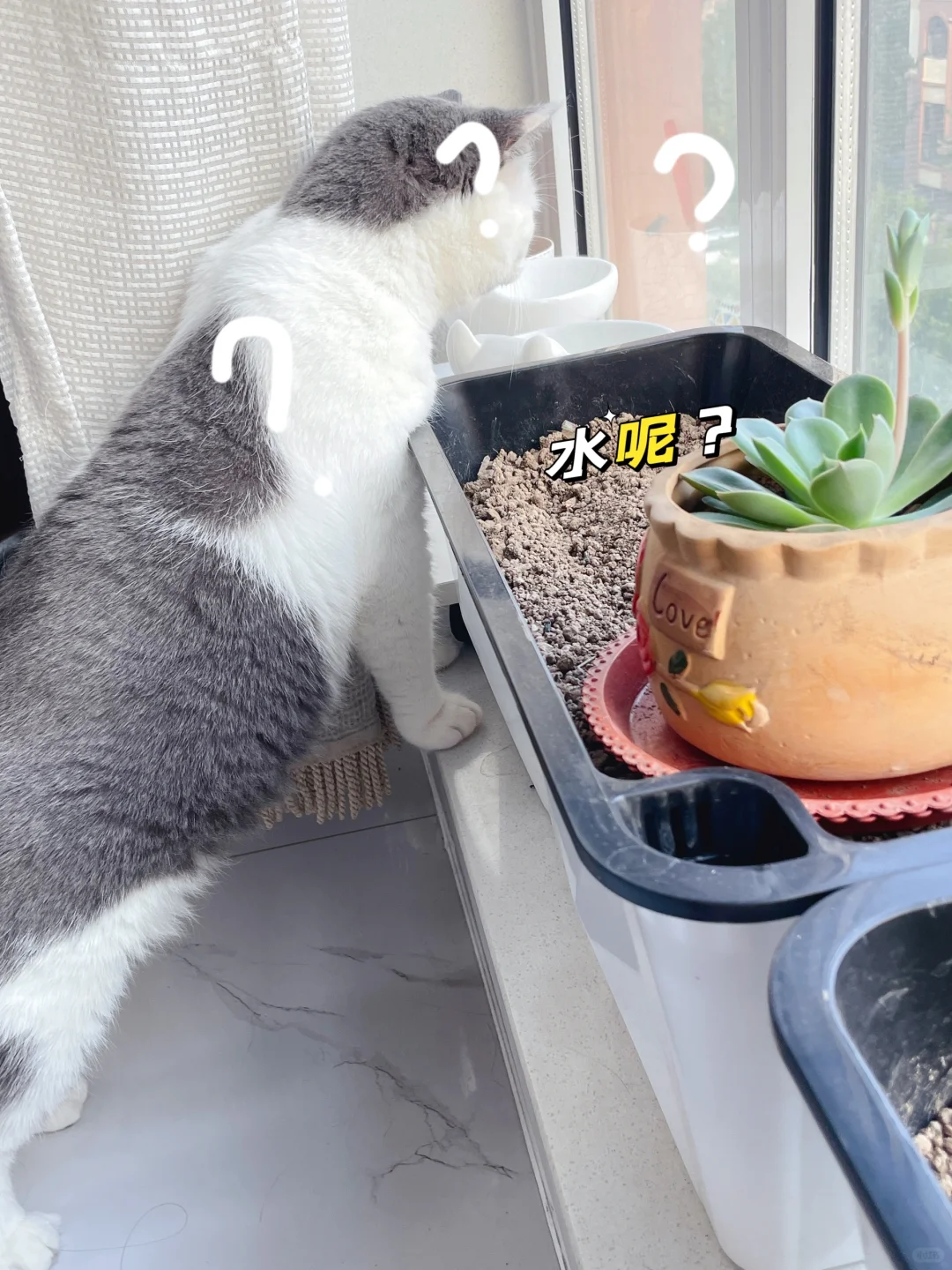 "客服喵星人奋战周五，半糖半燃挑战毕！💪