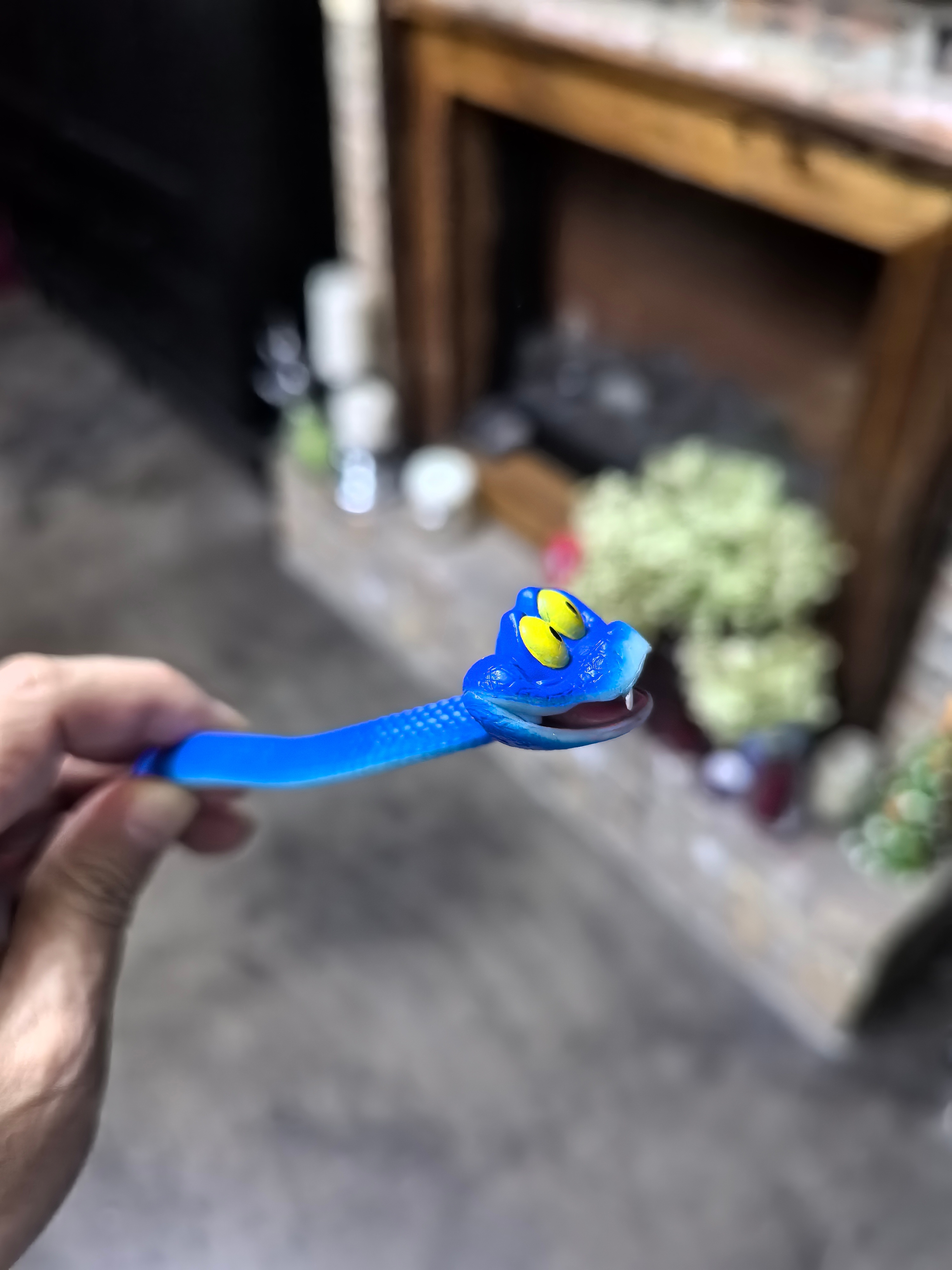 我买了一条蛇…… 