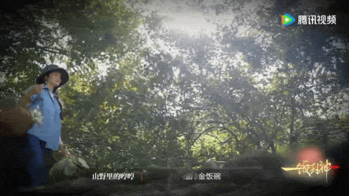 189次开火让这些厨师拥有姓名 可以说每一位厨师能够站在这个节目中都是付出了很多