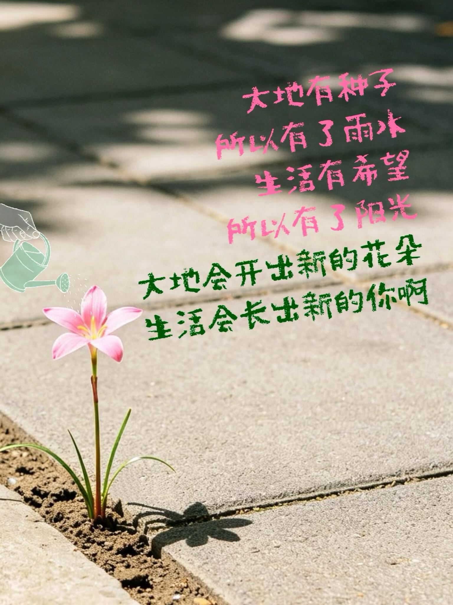 ＂大地会开出新的花，生活会长出新的你＂🌸 ​​​