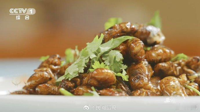 真有道菜叫唐僧肉河南人把蝉养成了产业 谁懂啊！原来传说中的唐僧肉居然是金蝉！外壳