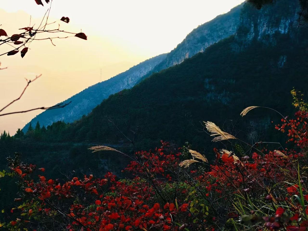 周三武汉地铁客流量连续两天不到400万人次以上[呲牙][呲牙][呲牙] 爆料 身