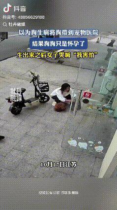 11月17号，江苏有个养狗的女子突然发现自家狗狗状态不太对。这狗老是缩在角落里不