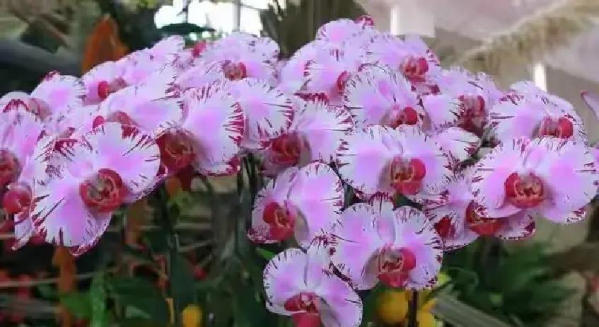 凌晨一点的宝妈群突然炸锅，一句“我掏钱出力，她连妈都不喊”直接引爆，三百多条消息