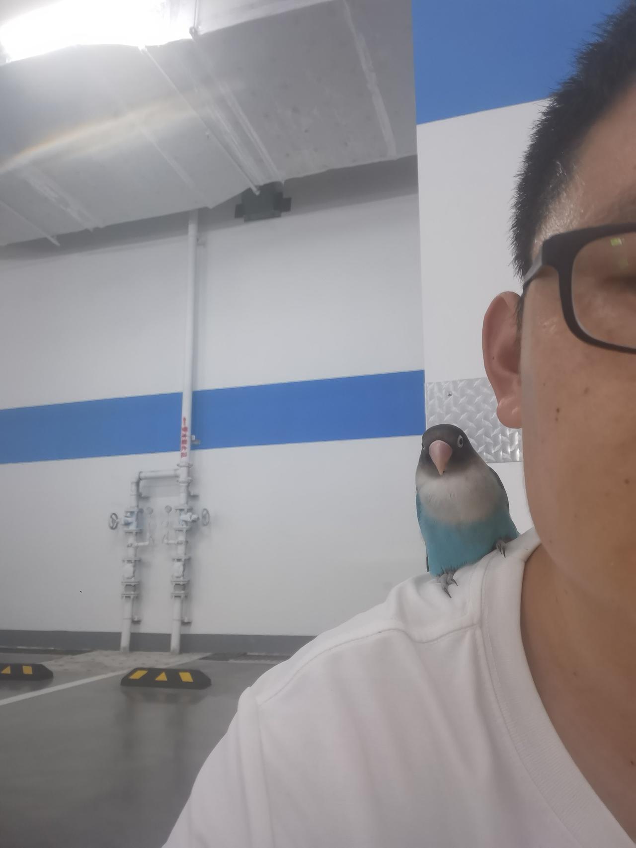 在深圳逛山姆被拒之门外！但是我却要为这家超市点赞，因为媳妇儿带了一只小宠物，就是