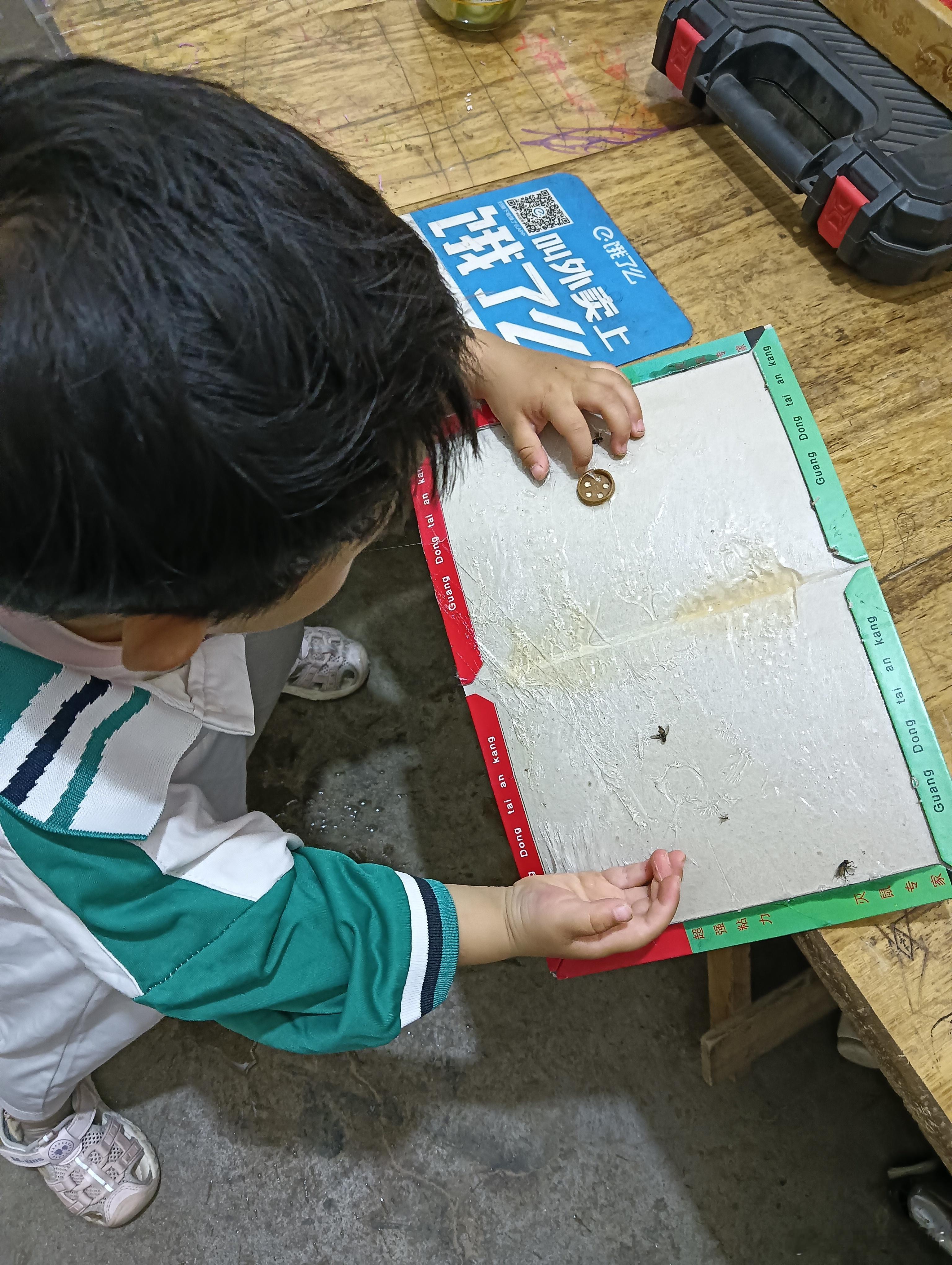 我滴乖乖，一眼没看着，我刚打开一个老鼠贴，给圆按上去了，可怎么去胶呀！ 