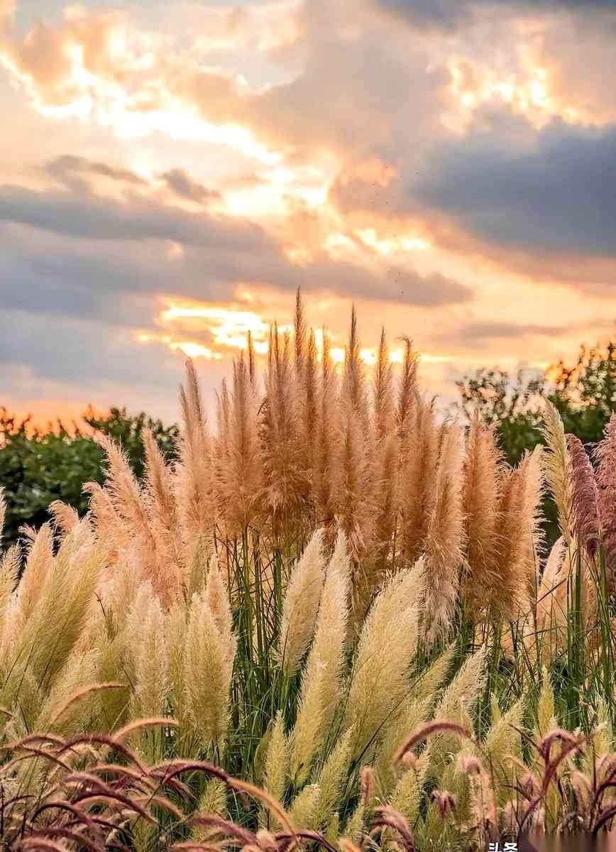 他回消息慢了五分钟，你心里就开始演八十集连续剧。
这是身体盖了章，不是脑子签了合