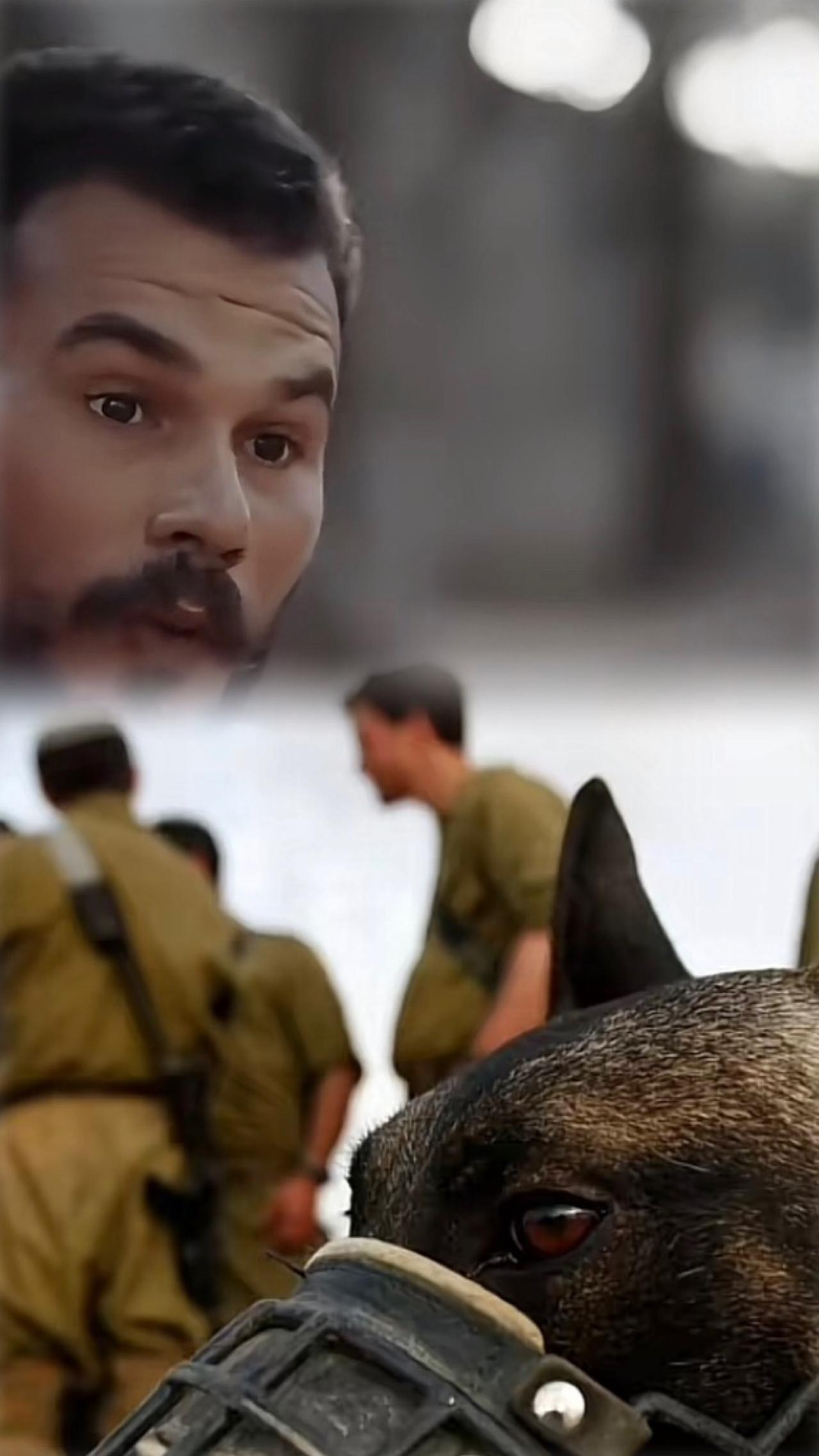 战争之下，没有赢家，只有无尽的苦难。
愿每一个普通人都能免于恐惧与伤害。