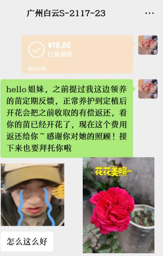 离花开遍家又近了一点~