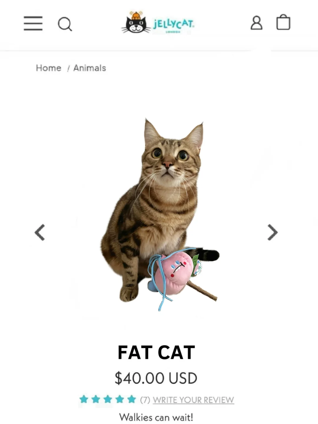 Jellycat出新品啦！