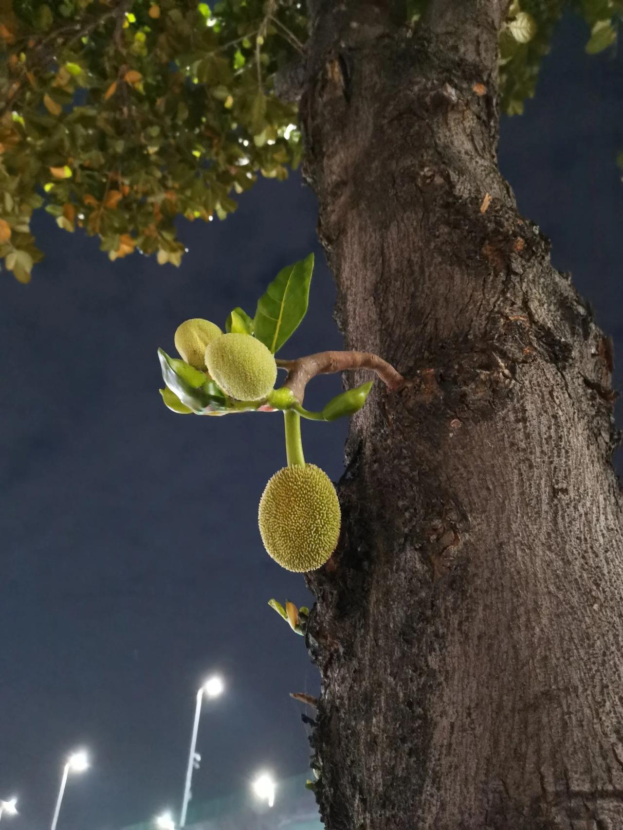 某信的套餐实在是太贵了，想要去降一下套餐，没想到，来到营业厅之后，没想到和网友们