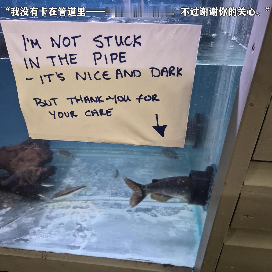 你没被卡。me_irl