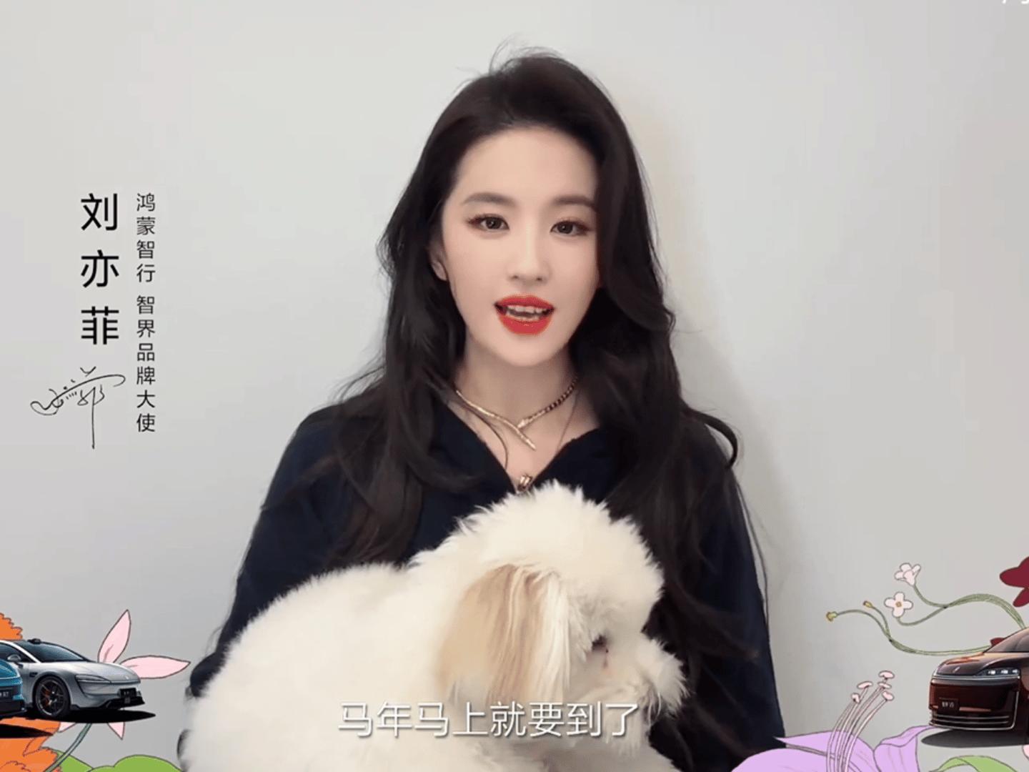 舔狗舔狗 应有尽有