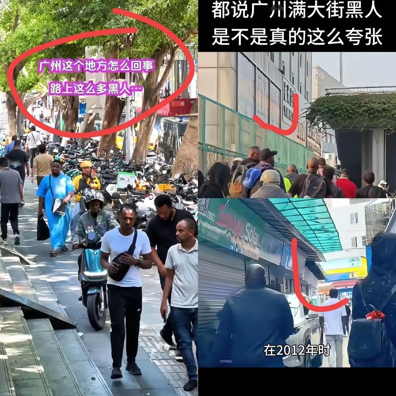 广州重点小学招生风波：
外籍孩子占名额引本地家长不满
最近广州某重点小学招生，把
