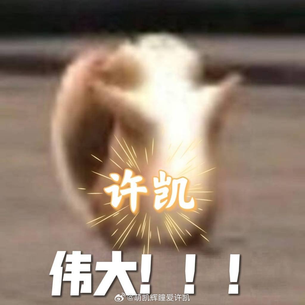 方圆八百米在周一一片降普降中逆势而升！许凯陈辉太牛了！许凯伟大！方圆八百米