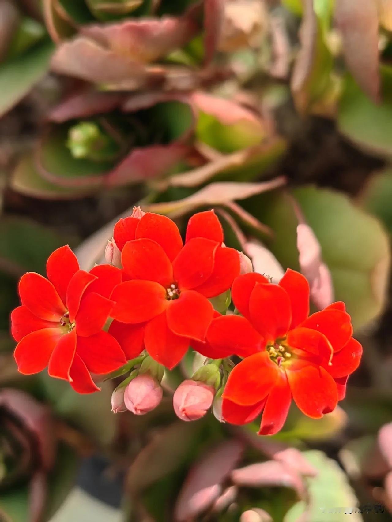 致2026的自己
 
没啥宏大目标，就盼你活得更“松快”点儿。
 
别为没发生的