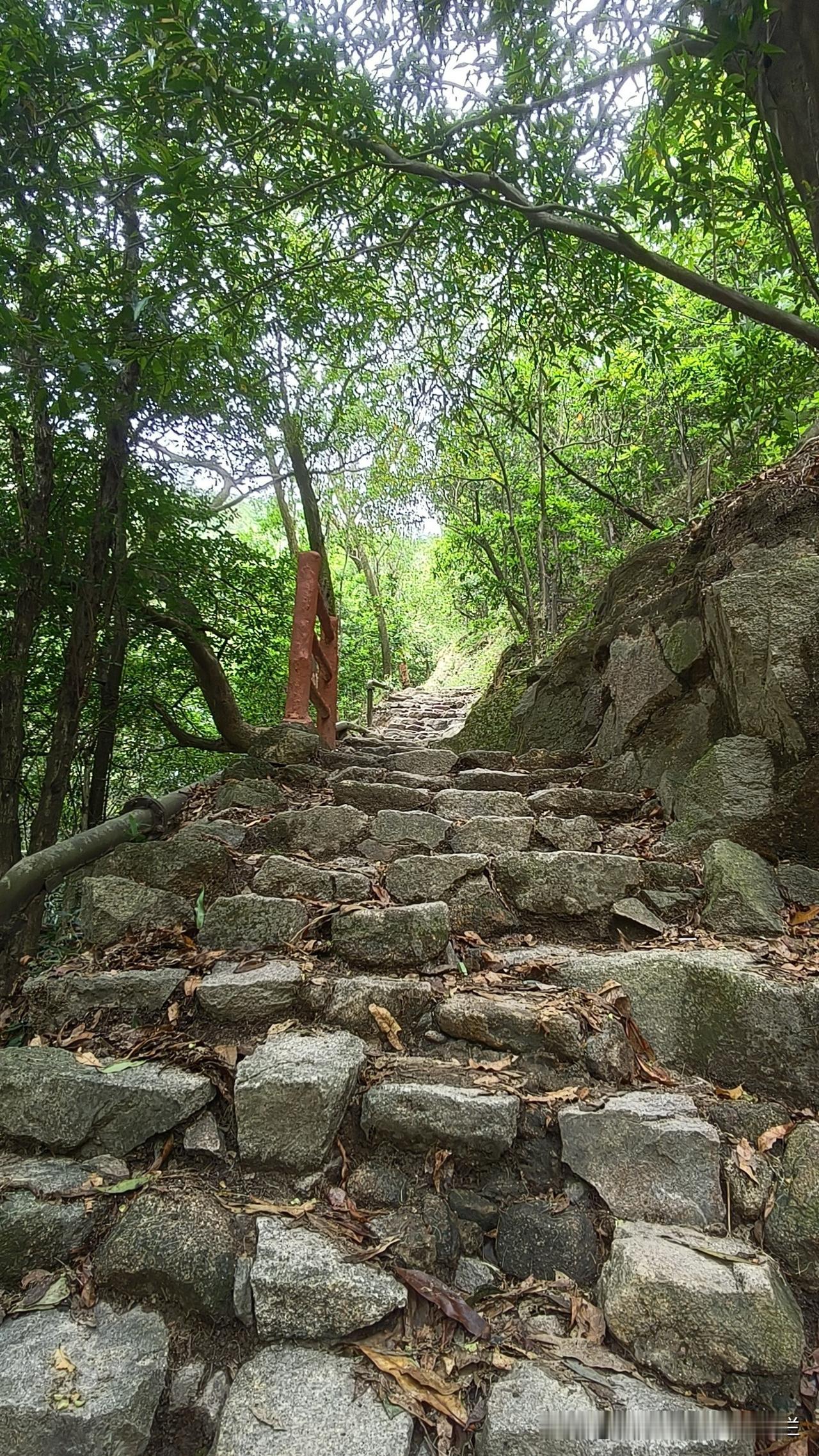 我发现圭峰山，尽头天眼池，是绿野仙踪🍃
（注意事项：盗用必究及注意事項法律責任