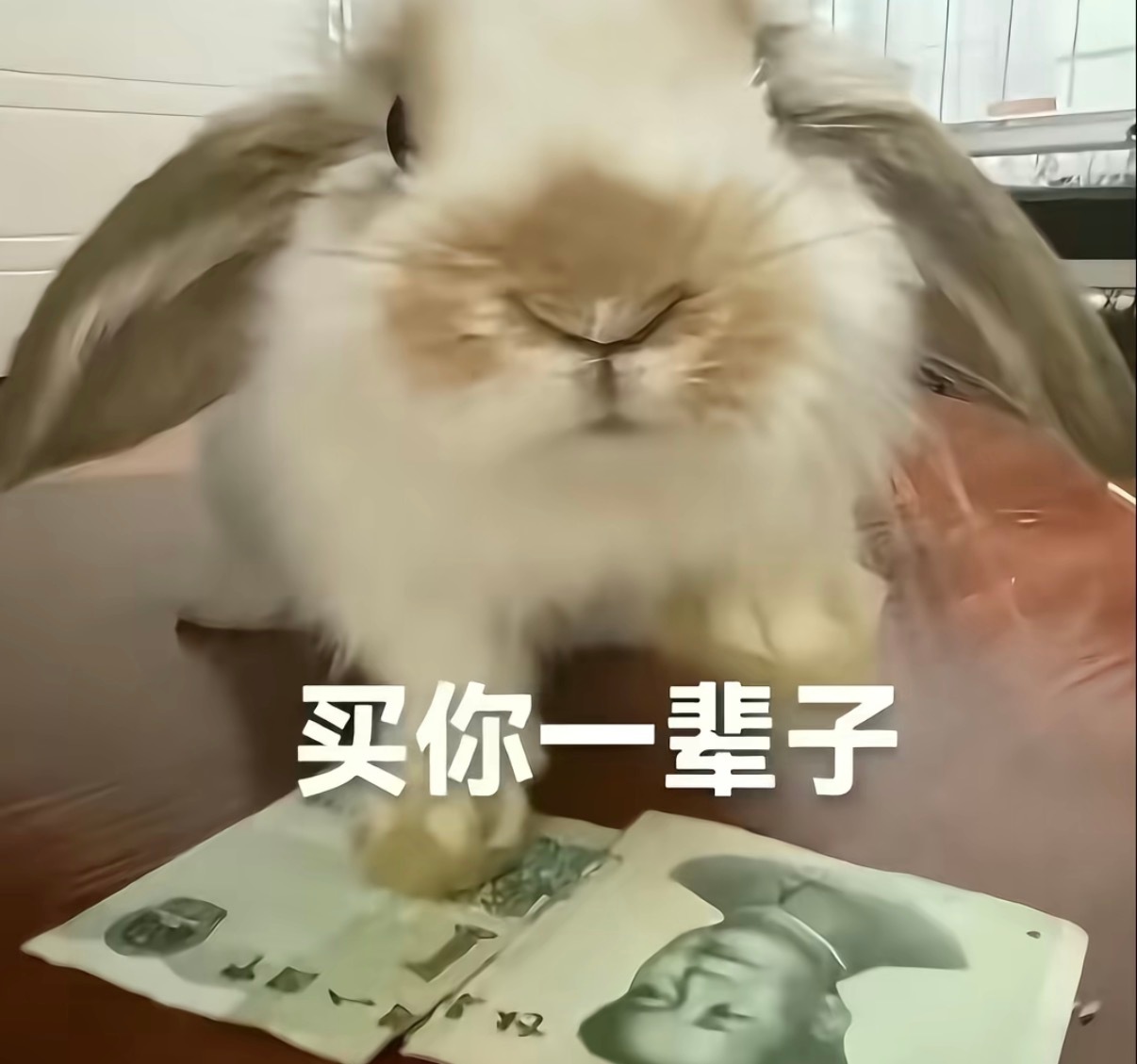 分享图片 