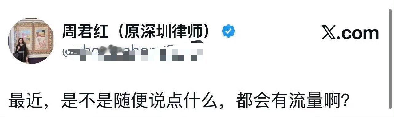 周君红成为全世界范围内出圈显眼的第一个电子宠物，谁会是下一个 