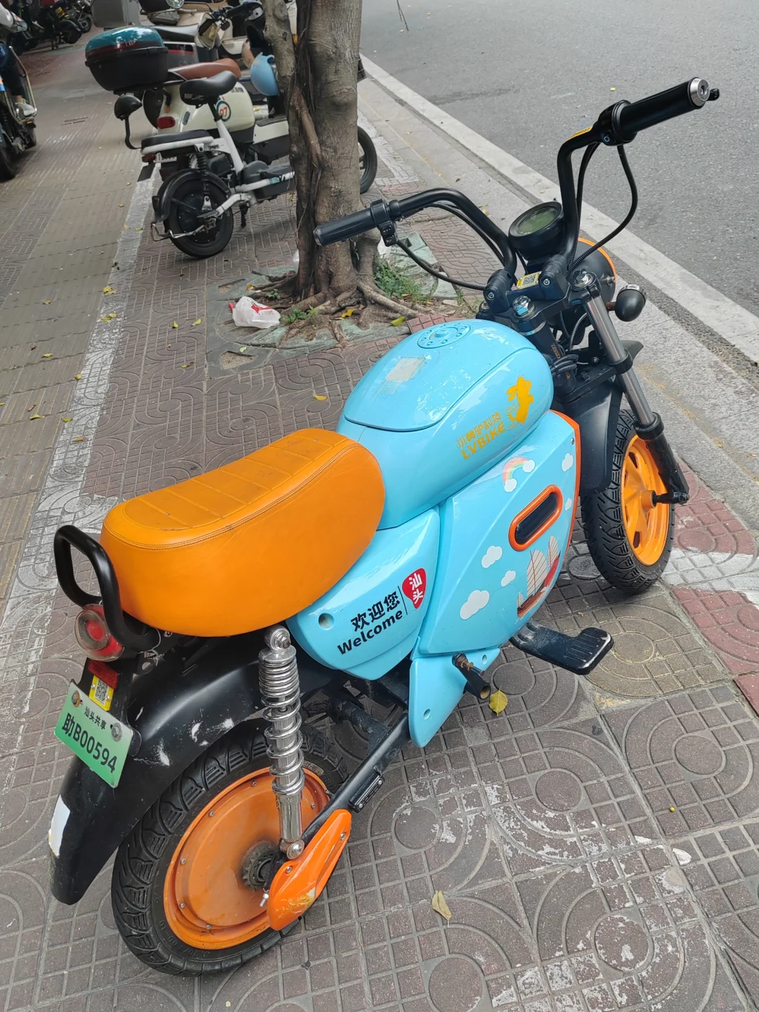谁能懂得它的可爱！