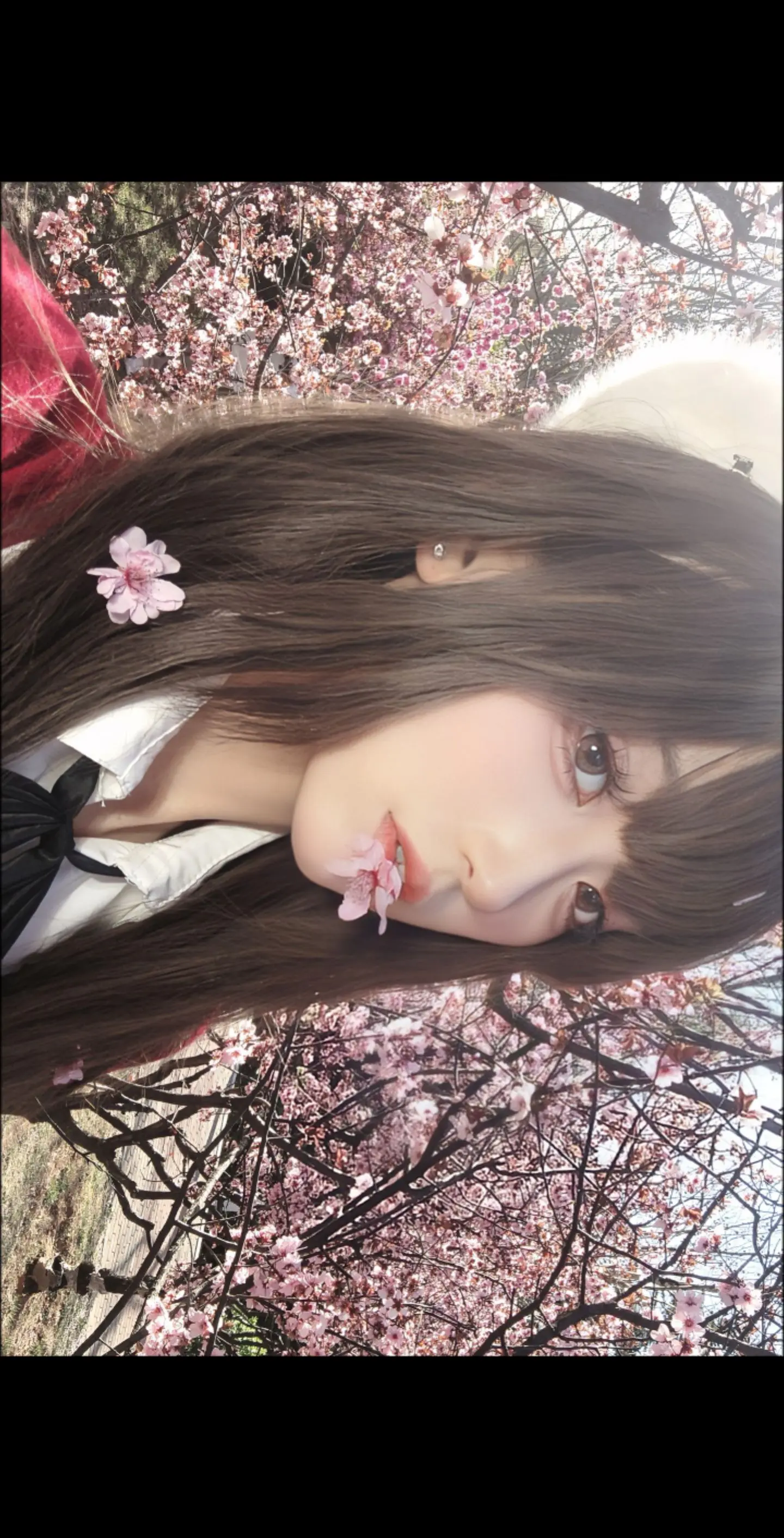 先有圣人，后有惠。回复