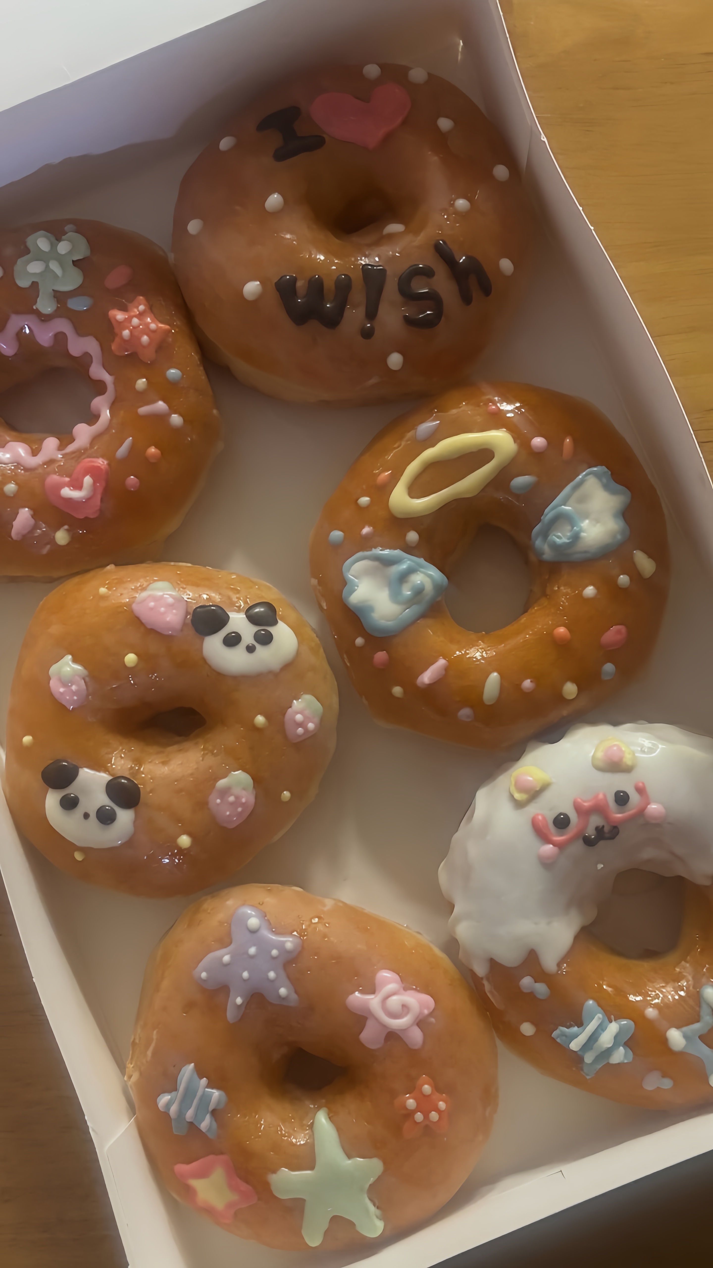 donut🍩 