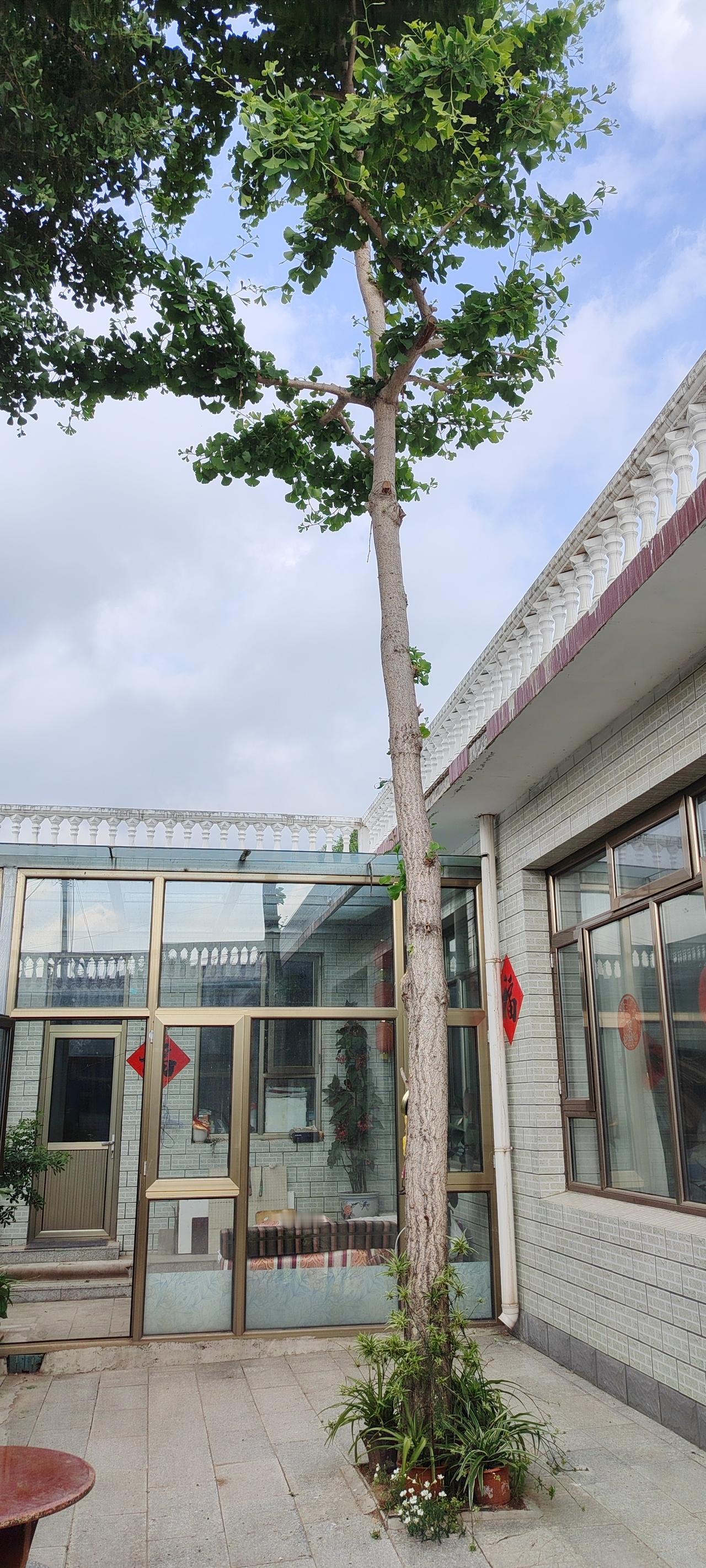 韩信忍受屠夫胯下之辱，不逞一时之勇，终成一代名将。寓意：能屈能伸方为大智，退一步