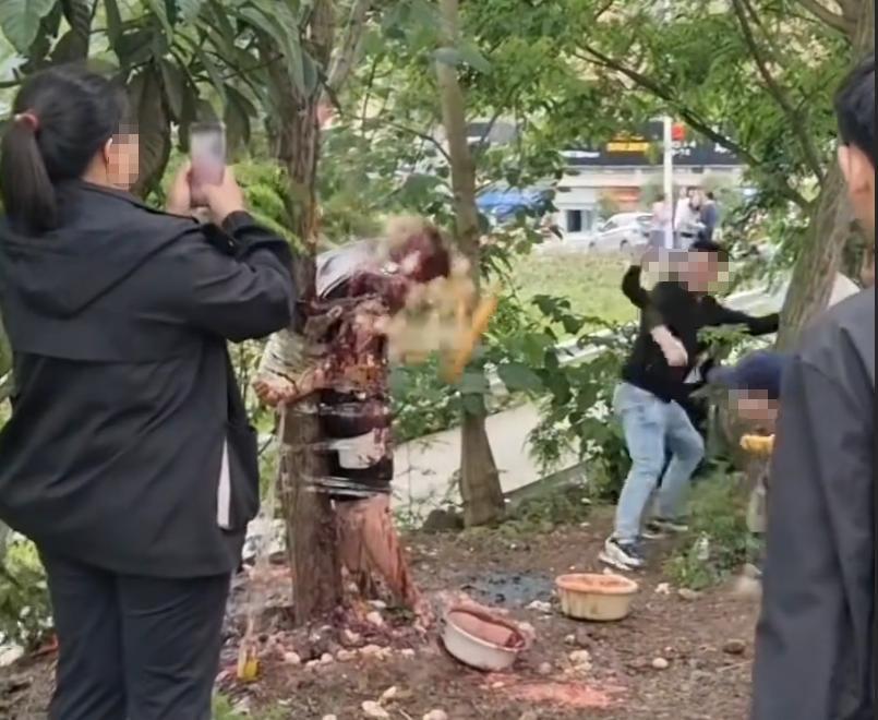 四川泸州一起婚闹事件引争议，男子被扒衣绑在树上泼酱油扔鸡蛋，当地民政局：确实不文