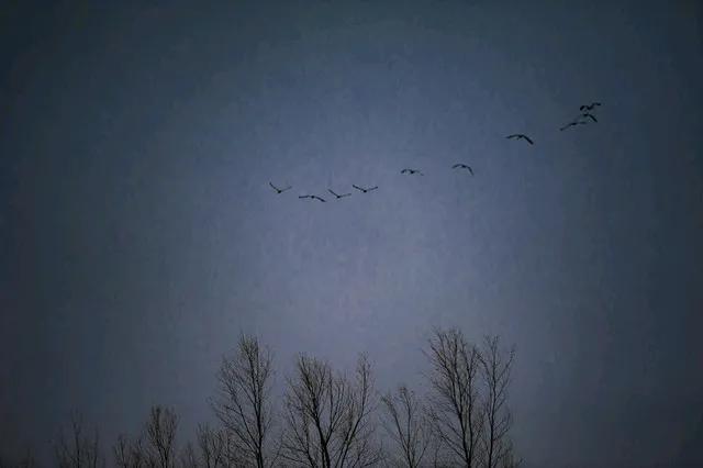 续诗一:
岁暮残年鬓换妆，
衰颜难回旧时光。
笑谈往昔风光志，
评头品足话短长。