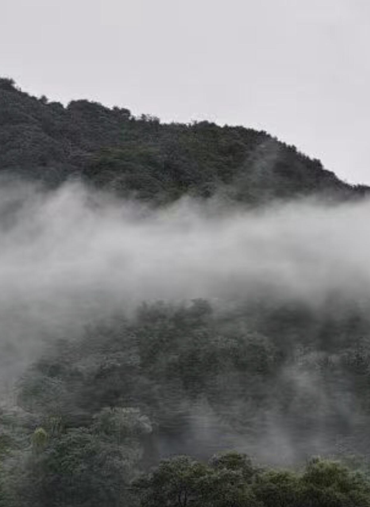 上联“遥望青山云雾绕”仿佛眼前真有一座青山被云雾环绕，缥缈又神秘。
我对下联“静