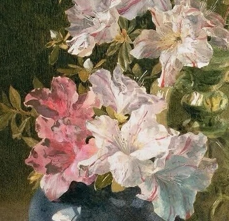 Maud Naftel｜《陶罐里的杜鹃花》 