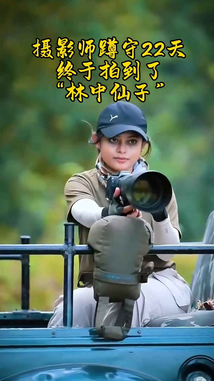 林中仙子。
摄影师蹲守22天，终于拍到了。